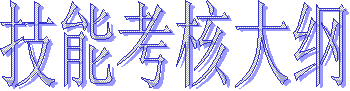 技能考核大纲